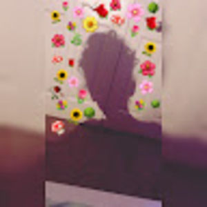 Meet your Posher, Riley